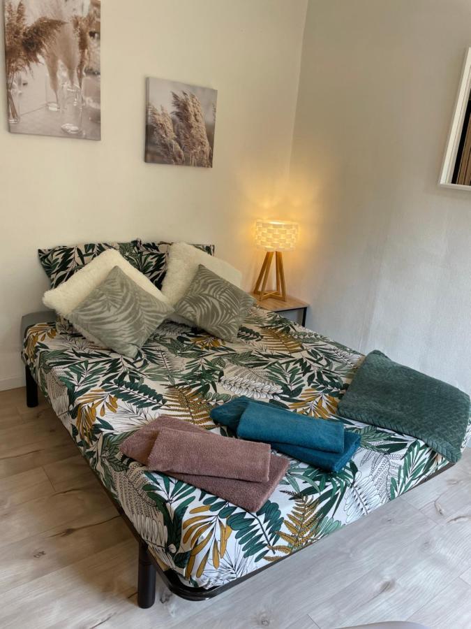 T2 Plein Centre Au 1Er Etage Avec Parking Prive Apartment Millau Ngoại thất bức ảnh